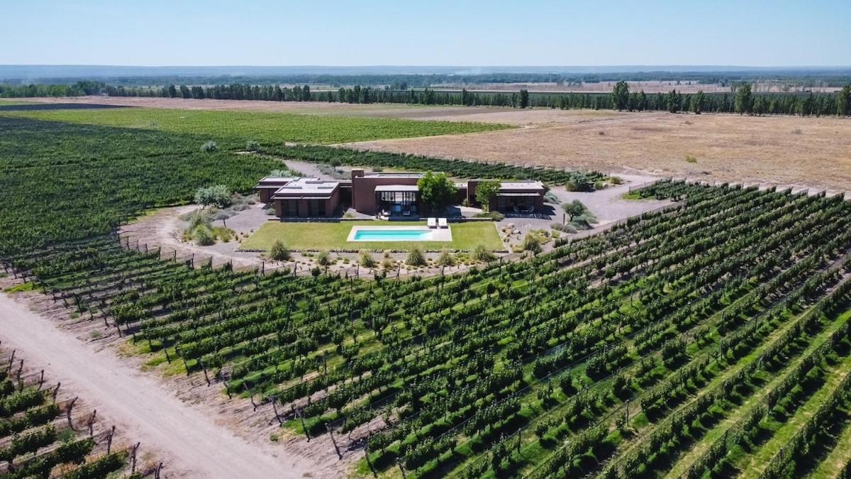 Casa Crux - Bodega Alfa Crux Villa Eugenio Bustos Bagian luar foto